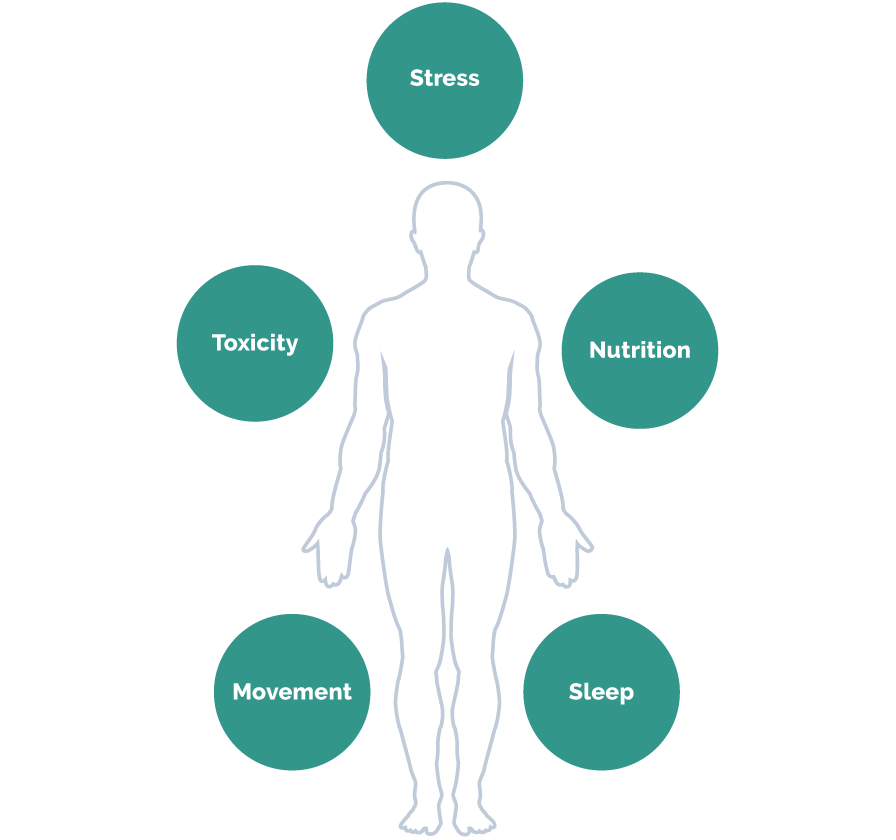 The Lifestyle Levers that Affect our Health